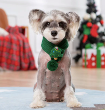 Green Christmas Pet Scarf – Holiday Accessory