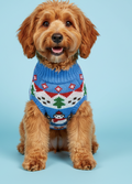 Blue Snowman Pet Sweater – Knit Holiday