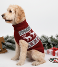 Red Reindeer Pet Sweater