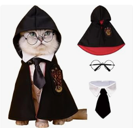 Movie Magic School Wizard Pet Costume Festive Paws