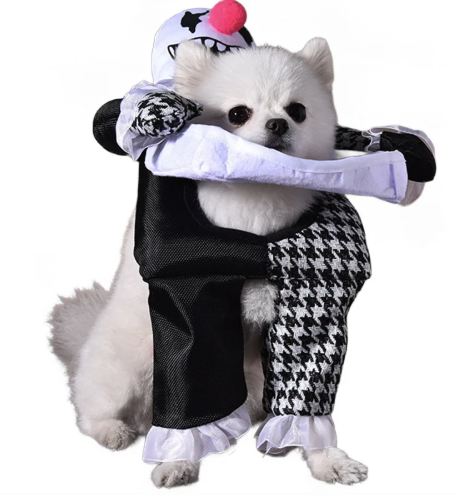 Evil Clown Riding Dog Halloween costume