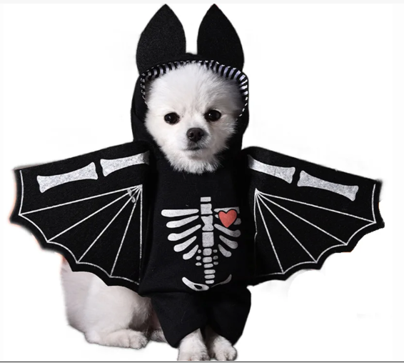 Bat Skeleton Anime Dog Hoodie Costume