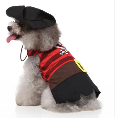 Striped Pirate Dog Costume Festive Paws