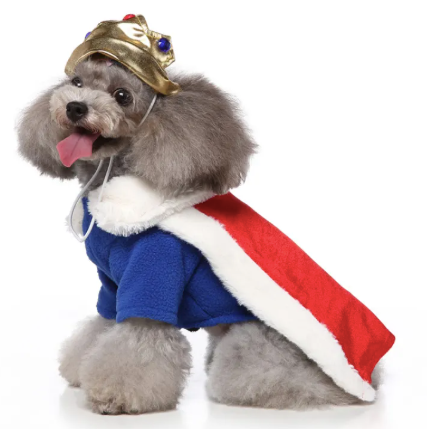King Dog Costume Festive Paws