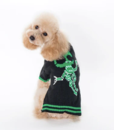 Pumpkin Dog Sweater - Fluorescent Skull Festive Paws