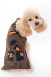 Pumpkin Dog Sweater - Coffee spooky house Festive Paws