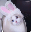 Bunny Ears Cat - Style 2 Festive Paws