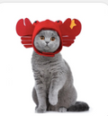 Cute Pet Decorative Hat - Style 5 Festive Paws