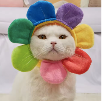Cat hat- Rainbow Flower Festive Paws