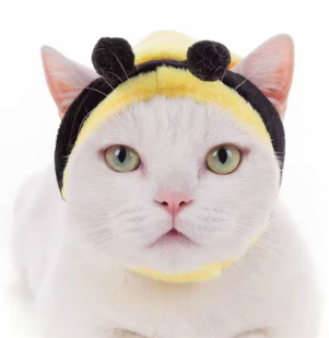 Funny Pet Hat - Bee Festive Paws