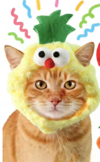 Funny Pet Hat - Pineapple Festive Paws