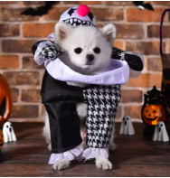 Evil Clown Riding dog Festive Paws