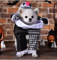Evil Clown Riding dog Festive Paws