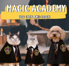 Wizard Magic Pet Costume Festive Paws