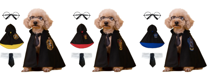 Wizard Magic Pet Costume Festive Paws