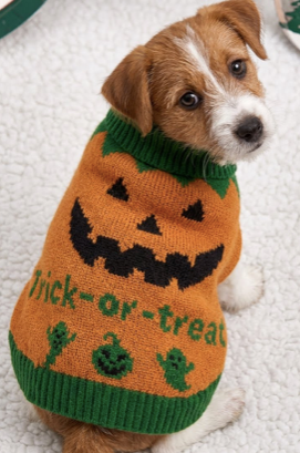 Pet Knit Sweater - trick treat Pumpkin Festive Paws