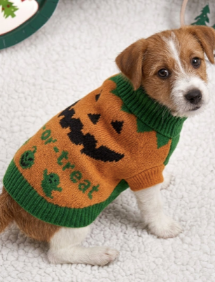 Pet Knit Sweater - trick treat Pumpkin Festive Paws