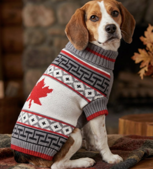 pet Knit Sweater - Grey w red leaf Festive Paws