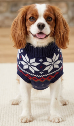 Pet Knit Sweater - navy blue snowflakes Festive Paws