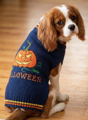 Pumpkin Dog Sweater - Orange & Black Pumpkin Festive Paws