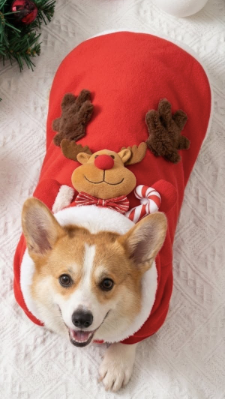 pet Christmas Hoodie ColdProof - dog Festive Paws