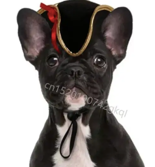 Pirate Pet hat Festive Paws