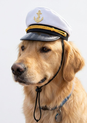 Pet Hat Sailor Festive Paws