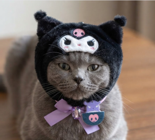 kawaii Cat & Doll Hat  kuromi Kitty Cloak or Labubu Festive Paws