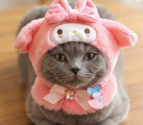 kawaii Cat & Doll Hat  kuromi Kitty Cloak or Labubu Festive Paws