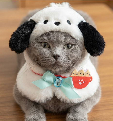 kawaii Cat & Doll Hat  kuromi Kitty Cloak or Labubu Festive Paws
