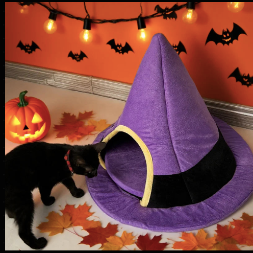 Halloween Witch Hat Cat bed Festive Paws