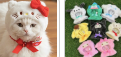 kawaii Cat & Doll Hat  kurom Kitty Cloak or Labubu Festive Paws