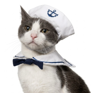 Sailor pet Costume Festive Paws