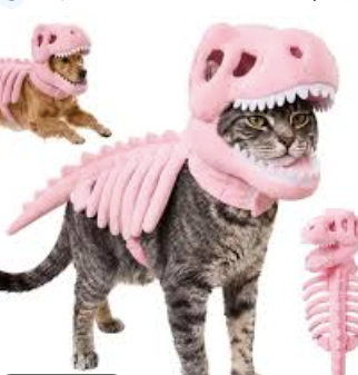 Glow In The Dark - Skeleton Pet Costume Festive Paws