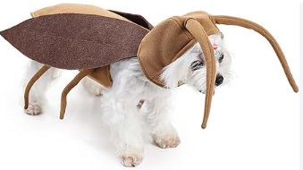 Cockroach Pet Costume Festive Paws