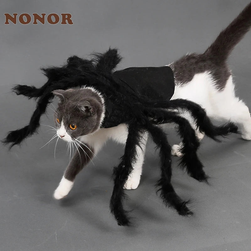 Spider Costume  Dog / Cat