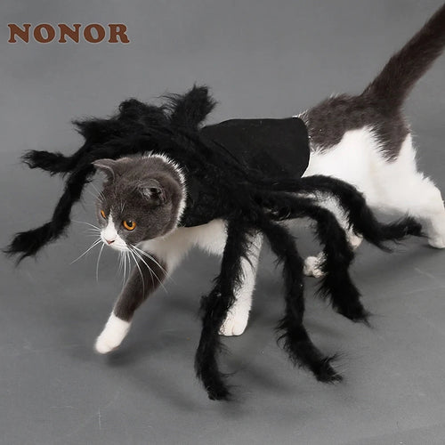 NONOR Halloween Dog Cat Clothes Pet Cosplay Funny Spider Costume Halloween Party Costumes for Small Medium Dog Cat Costumes Festive Paws