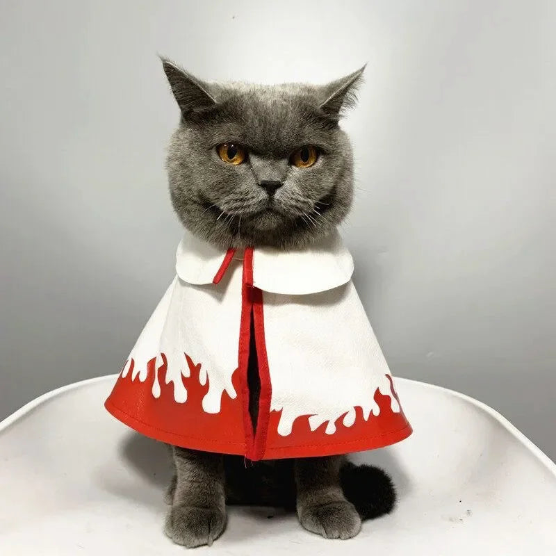 Anime Haruto Pet Cloak Costume