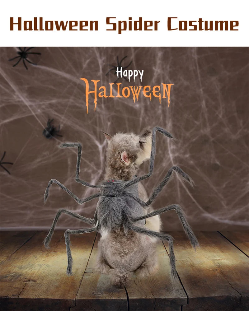 Halloween Dog Cat Clothes Pet Cosplay Funny Spider Costume Halloween Party Costumes for Small Medium Dog Cat Costumes ropa para Festive Paws