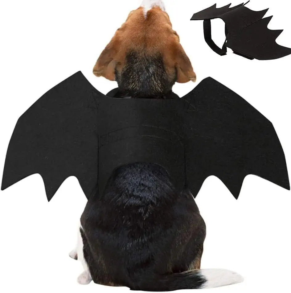 Black Bat Wings Cat / Dog