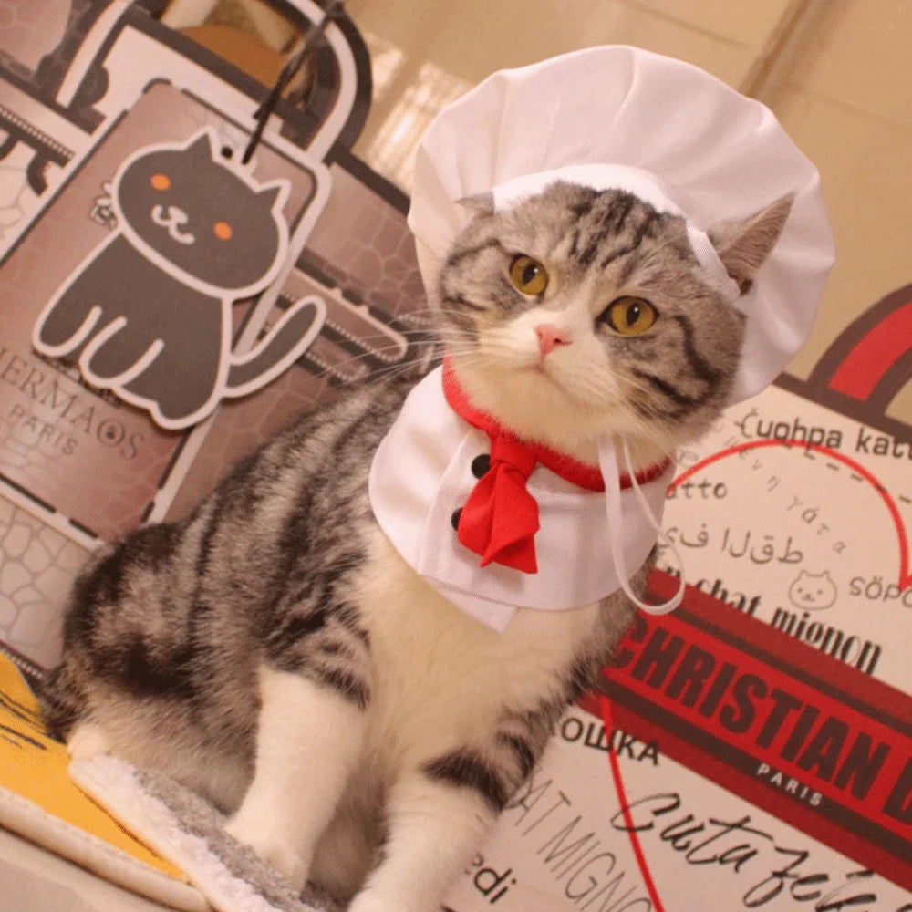 Pet Accessories Cute Pet Cooking King Hat Comfortable Stylish Cat Transformation Dress Adjustable Chef Hat Set Pet Events Festive Paws