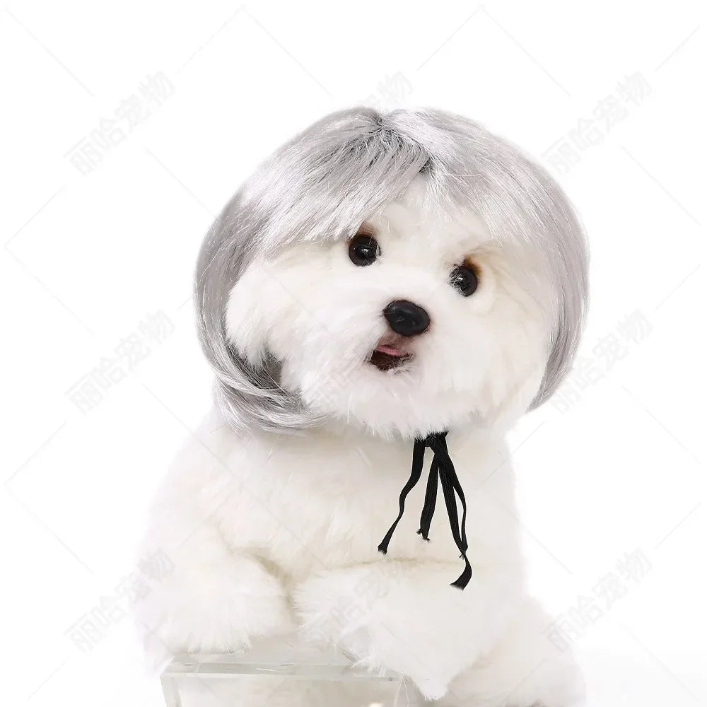 Creative Funny Pet Wig Bob Head with Neat Bangs Cosplay Costume Props Cute Dress Up Headwear for Small Dog Cat Party Use Festive Paws