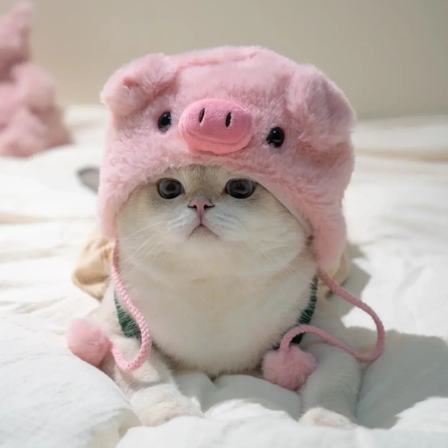 Plush Pig style - Cat Hat Festive Paws