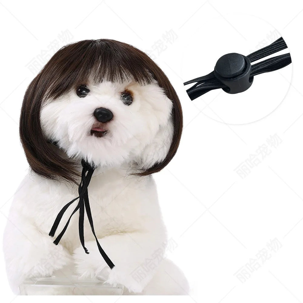 Creative Funny Pet Wig Bob Head with Neat Bangs Cosplay Costume Props Cute Dress Up Headwear for Small Dog Cat Party Use Festive Paws