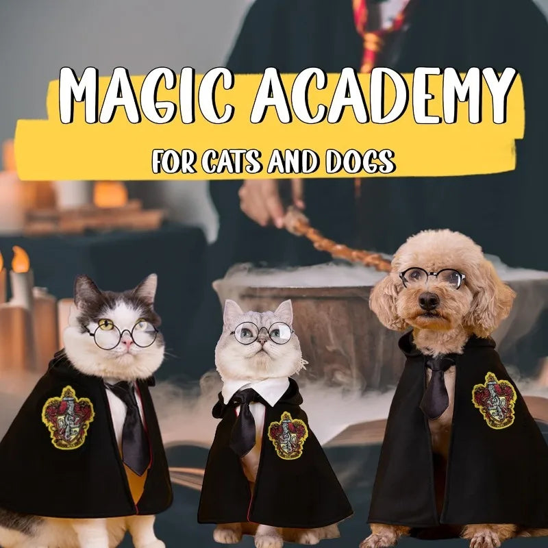 Movie Magic School Wizard Pet Costume Festive Paws