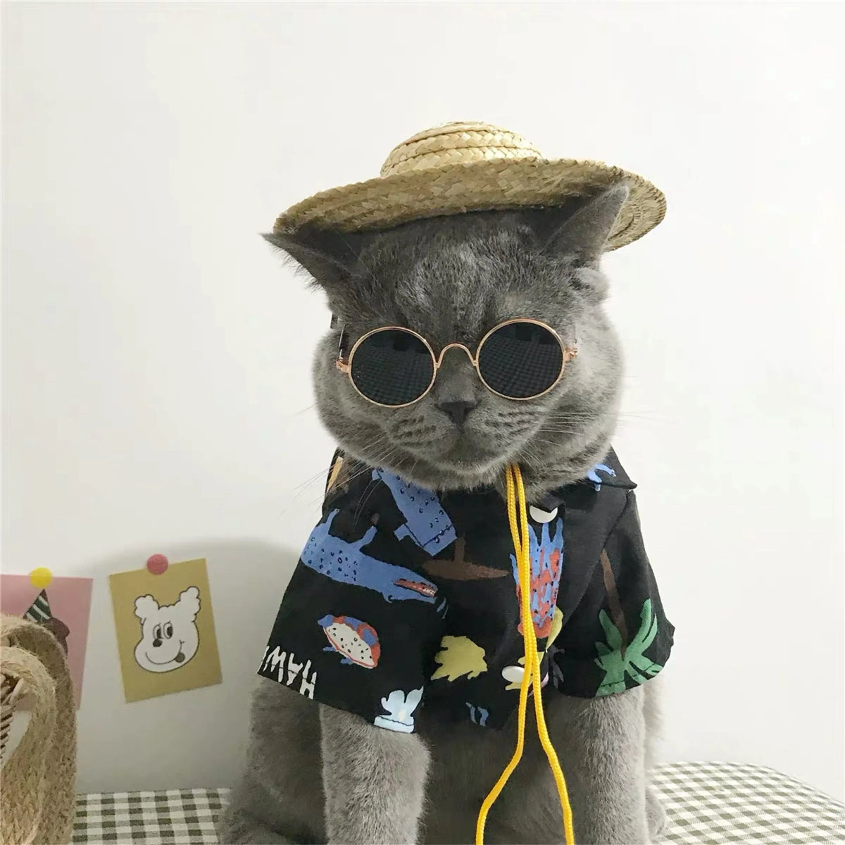 Vintage Round Cat Sunglasses Reflection Eyewear Glasses Pet Products for Dog Kitten Dog Cat Accessories for Small Dogs Festive Paws