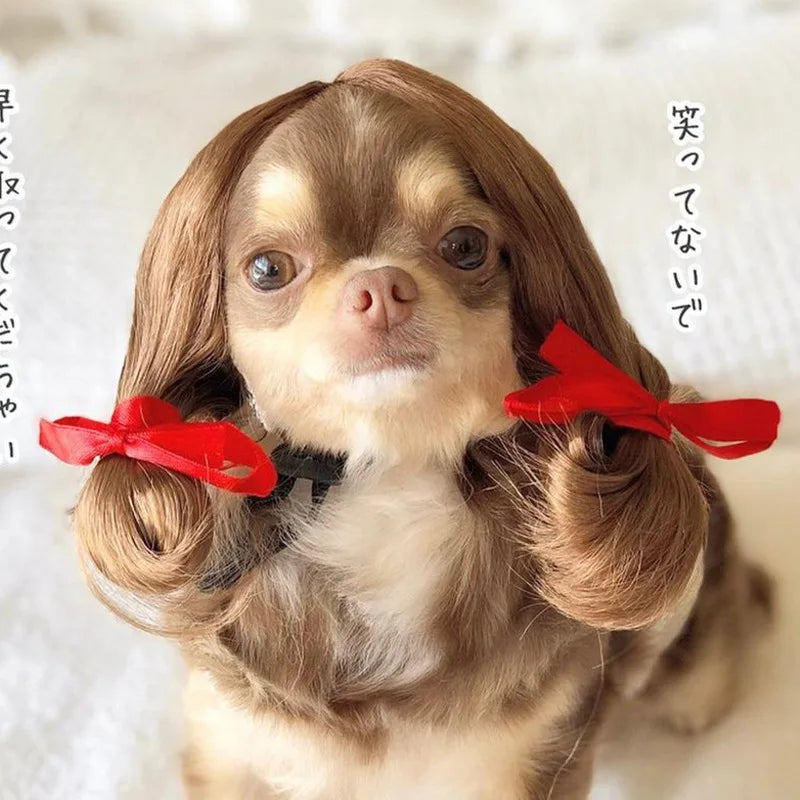 Dogs Cats Headdress Funny Pet Wigs Bangs Exploding Head Braids Straight Hair Nylon Fibre Material Halloween Pet Accessories Festive Paws