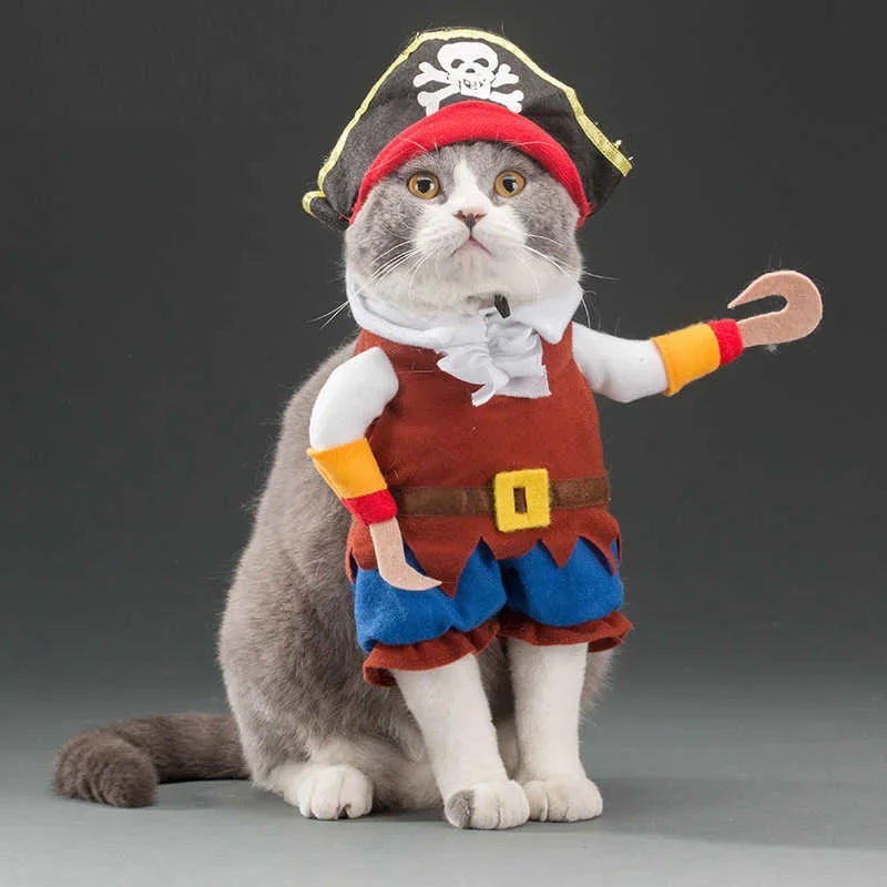 Pirate Cat Costume