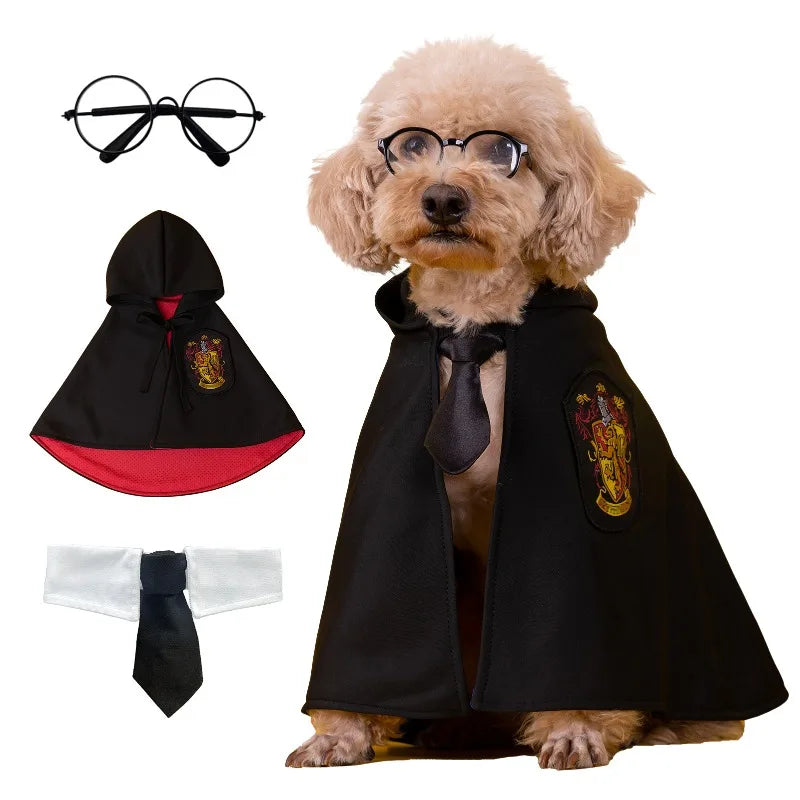 Movie Magic School Wizard Pet Costume Festive Paws