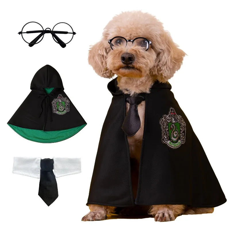 Movie Magic School Wizard Pet Costume Festive Paws
